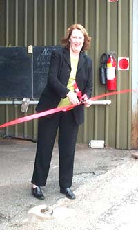 Descriptive alt Text